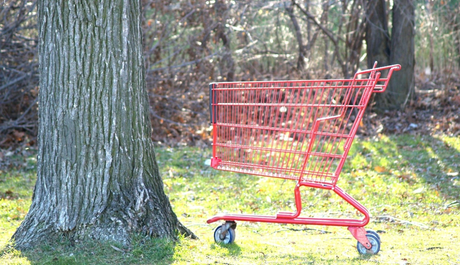 An empty cart representing the cart abandonment