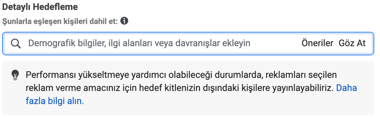 Detaylı hedefleme yöntemini kullanmadan önce potansiyel müşterilerin davarnışlarına ilişkin seçenekleri görüntüleyebileceğiniz arama motoru