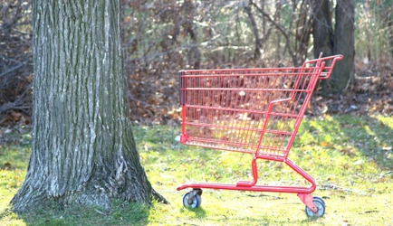 Cart Abandonment: Why Customers Leave Us and How Can We Get Them Back?