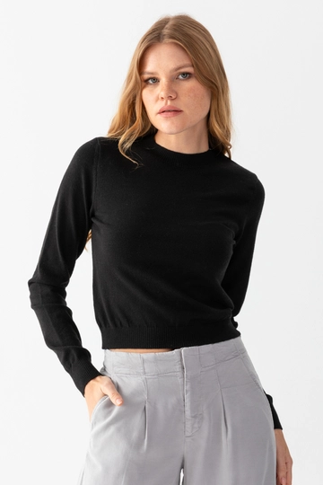 A wholesale clothing model wears  Crew Neck Basic Sweater
, Turkish wholesale Sweater of Ajour Triko