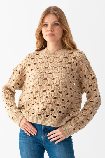 A wholesale clothing model wears  Hole Knitwear Sweater
, Turkish wholesale Sweater of Ajour Triko