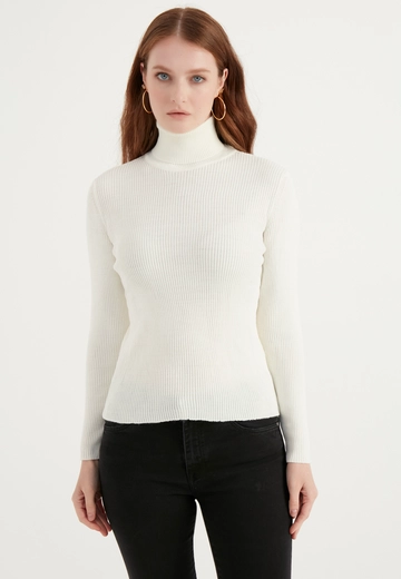 A wholesale clothing model wears  Basic Turtleneck Sweater
, Turkish wholesale Sweater of Ajour Triko