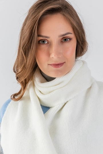 A wholesale clothing model wears  Basic Knitwear Scarf
, Turkish wholesale Scarf of Ajour Triko