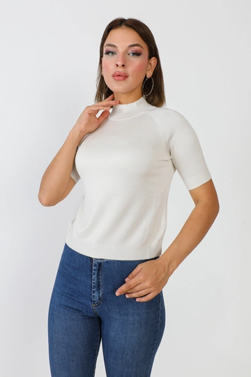 Bir model, Ajour Triko toptan giyim markasının  Kisa Kol Yarim Balikçi Triko Bluz
 toptan Kazak ürününü sergiliyor.