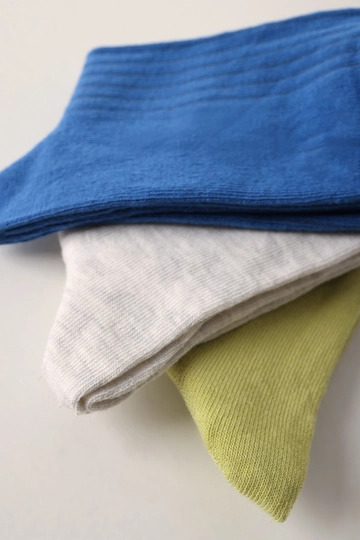Ein Bekleidungsmodell aus dem Großhandel trägt  Set Mit 3 Socken – Grün & Grau & Saks
, türkischer Großhandel Socken von Allday