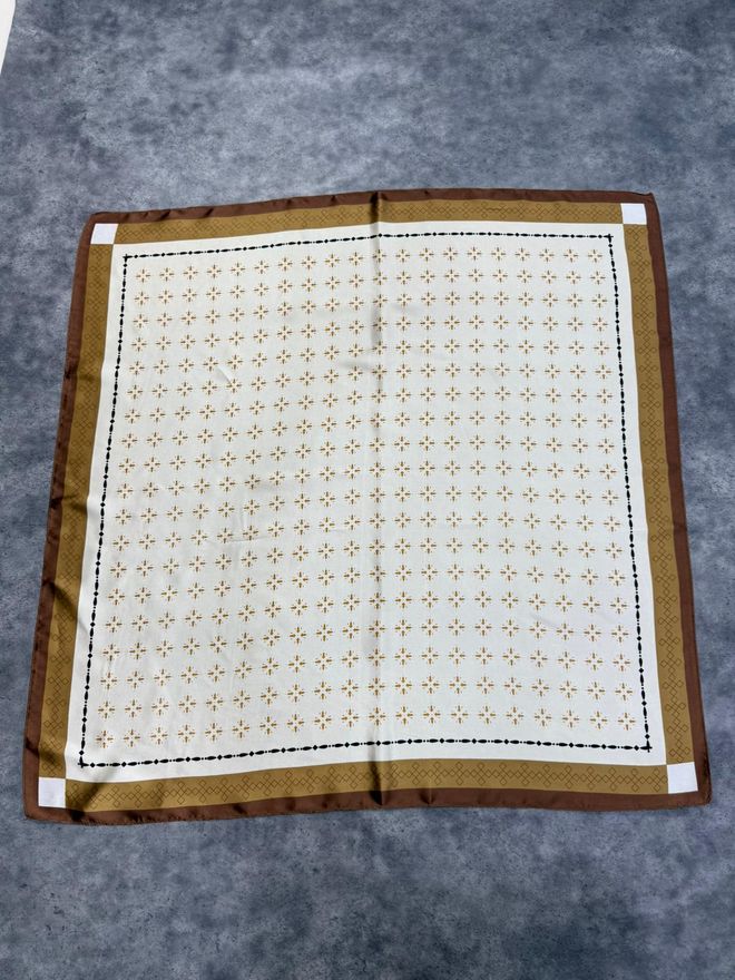 Axesoire Bej Zarif Şal İş Ve Parti İçin Toptan Giyim Tesettür