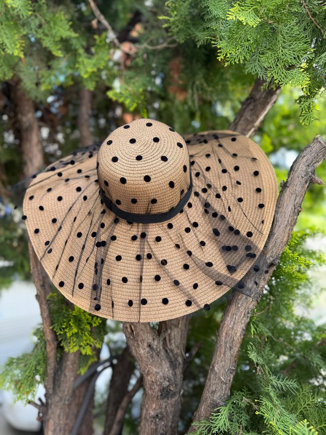 Axesoire Элегантная Бежевая Шляпа В Горошек Оптовая продажа одежды Пляж