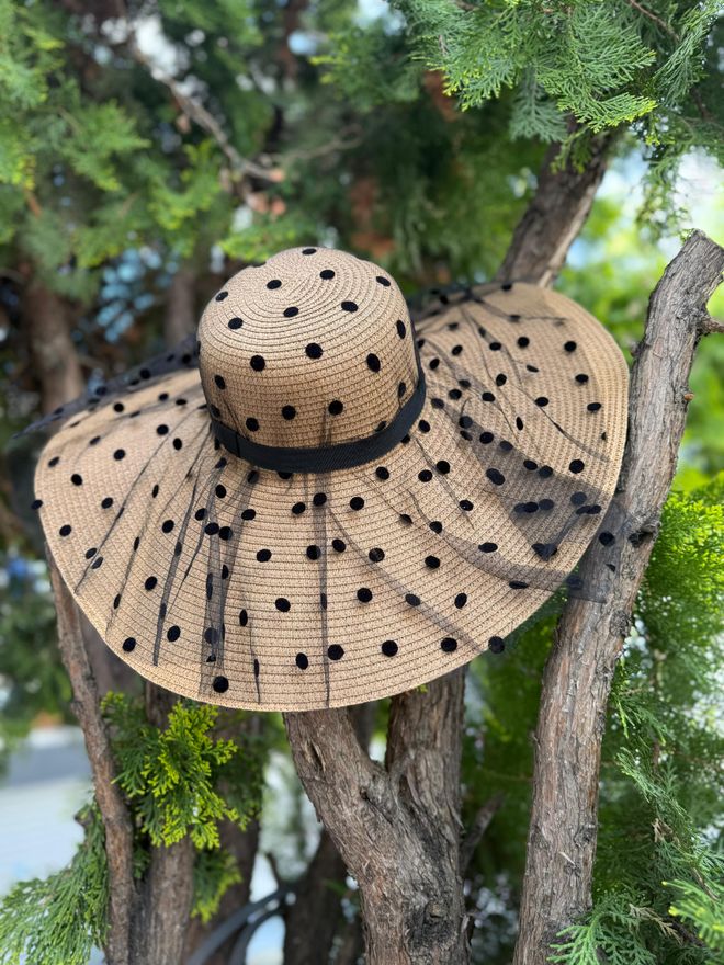 Axesoire Элегантная Бежевая Шляпа В Горошек Оптовая продажа одежды Весна