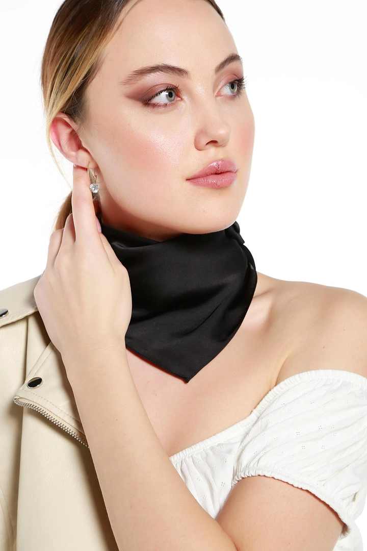 Модель оптовой продажи одежды носит axs10830-scarf-black, турецкий оптовый товар Шарф от Axesoire.