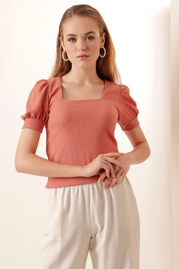 A wholesale clothing model wears  Blouse - Dried Rose
, Turkish wholesale Blouse of Bigdart