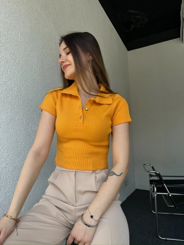 Hurtowa modelka nosi  Koszulka Polo W Kolorze Musztardowym
, turecka hurtownia Krótki top firmy CAPPITONE