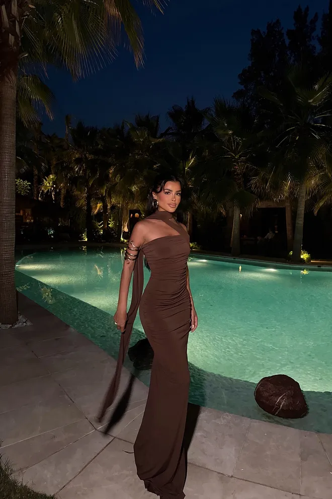 EYYO ATELIER Brown Sexy Elegant Formal Glam Bodycon Dress Wholesale Clothing Spring