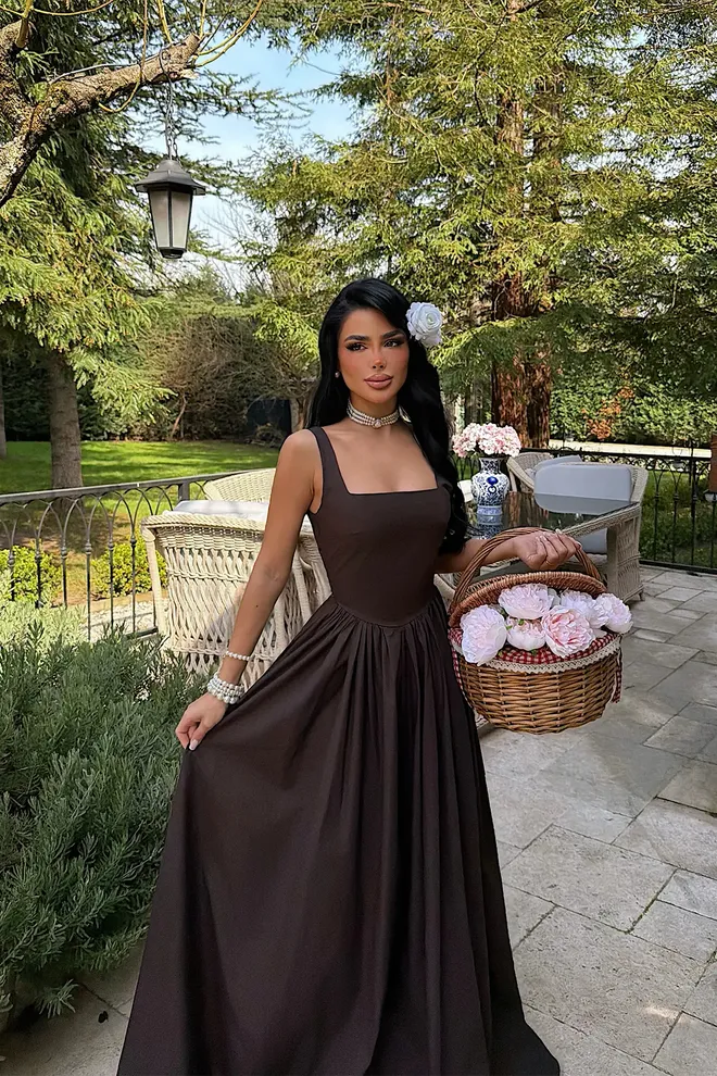 EYYO ATELIER Brown Elegant Fit And Flare Dress Wholesale Clothing 1