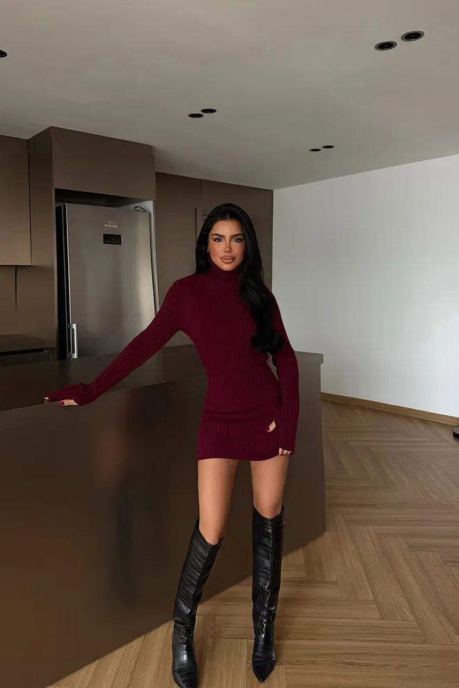 EYYO ATELIER Claret Red Bodycon Mini Dress With Turtle Neck Wholesale Clothing 1