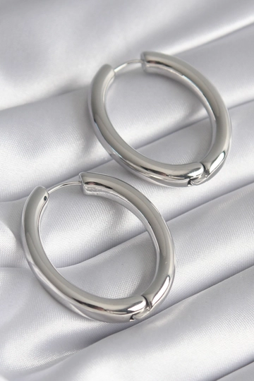 A wholesale clothing model wears  Brass Silver Color Ring Model Women's Earrings
, Turkish wholesale Earring of Ebijuteri