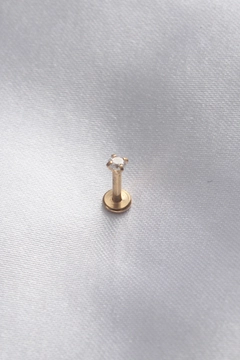 Bir model, Ebijuteri toptan giyim markasının 40581 - 316L Surgical Steel Piercing - Gold toptan Piercing ürününü sergiliyor.