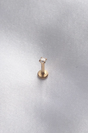 A model wears 40581 - 316L Surgical Steel Piercing - Gold, wholesale undefined of Ebijuteri to display at Lonca