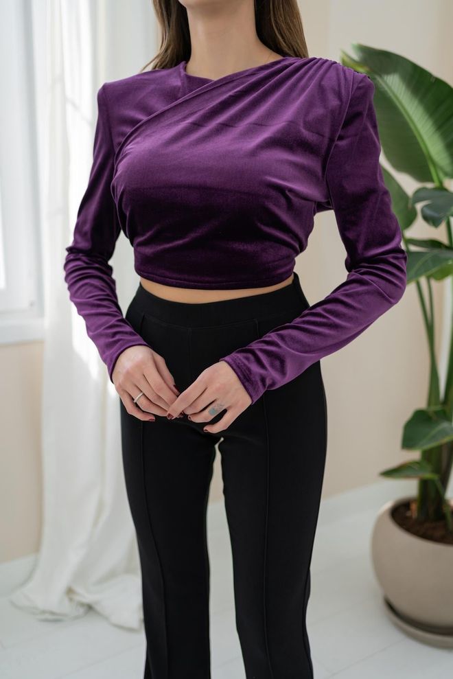 Elisa Velvet Blouse Purple Wholesale Clothing Work
