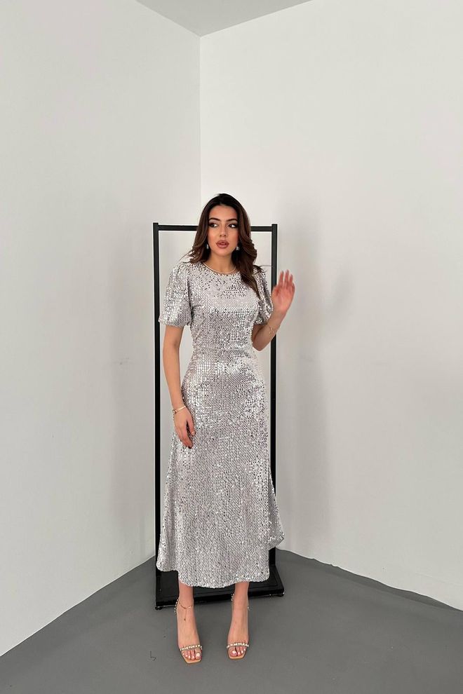 Elisa Elegant Silver A Line Dress With Sequined Ruffle Sleeves Wholesale Clothing No Fabric