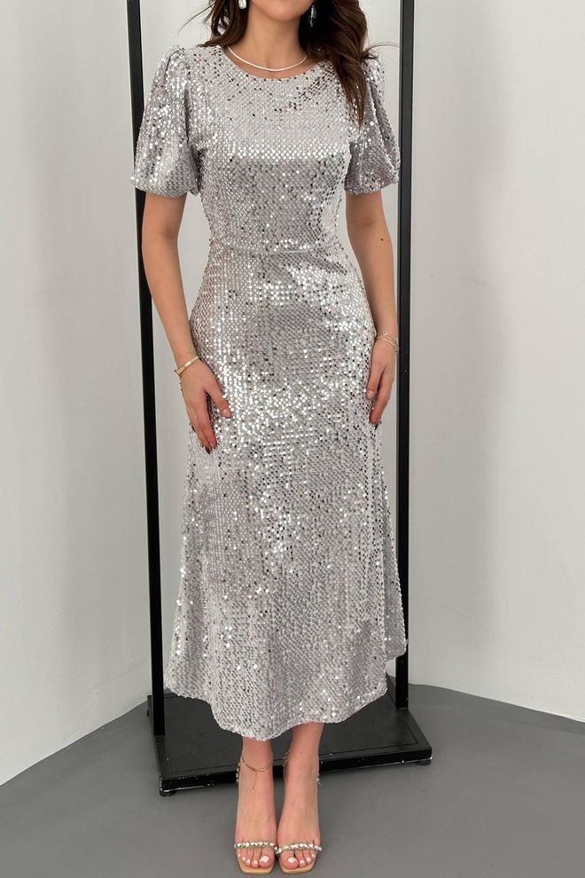 Elisa Elegant Silver A Line Dress With Sequined Ruffle Sleeves Wholesale Clothing 4