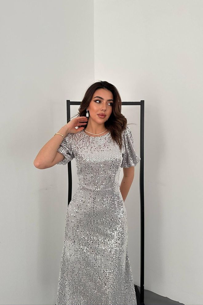 Elisa Elegant Silver A Line Dress With Sequined Ruffle Sleeves Wholesale Clothing Cocktail