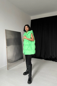 Een kledingmodel uit de groothandel draagt els11008-hooded-puffer-vest-green, Turkse groothandel Vest van Elisa