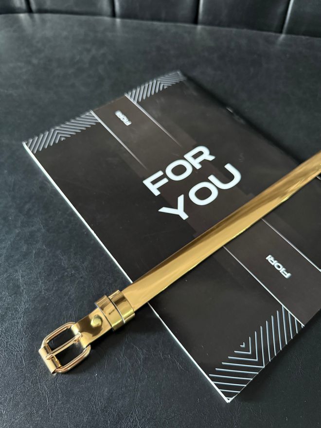 Fiori Χρυσή Ζώνη Τετράγωνη Πόρπη Λεπτή Γυναικεία Ζώνη Μέσης Ζώνη Φόρεμα Ζώνη Φούστα Ζώνη Παντελόνι Χονδρικό εμπόριο ενδυμάτων Casual