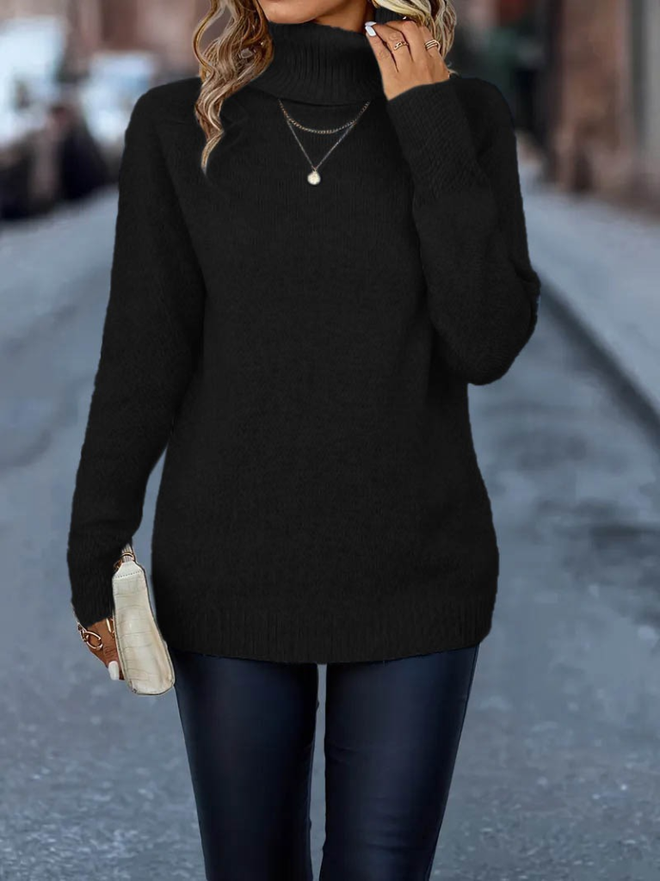 Janes Women's Long Sleeve Turtleneck Knit Blouse Black Wholesale Clothing Casual