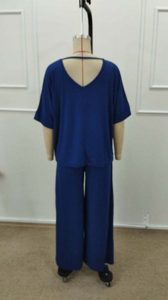 Janes Blauwe Casual Bescheiden Set Met Palazzo Broek Groothandel Kleding 5