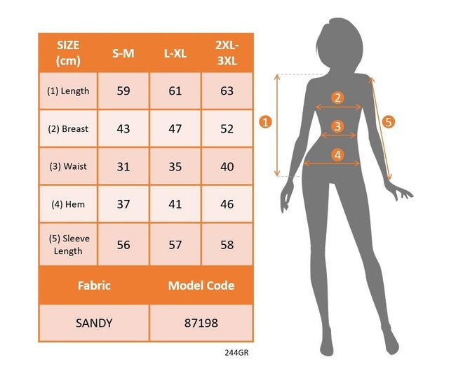 Janes Siyah Seksi Zarif Resmi Bluz Toptan Giyim 5