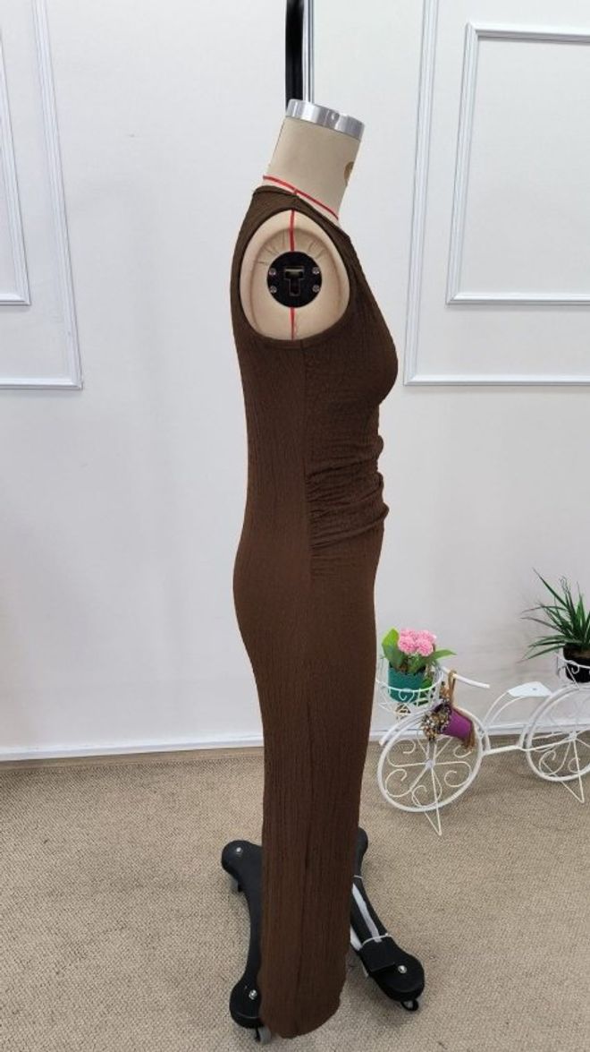 Janes Brown Bodycon Sleeveless Dress Wholesale Clothing 5