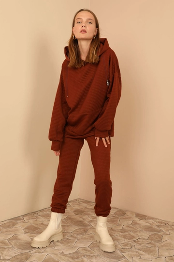 A wholesale clothing model wears  Sweatshirt - Brown
, Turkish wholesale Hoodie of Kaktus Moda