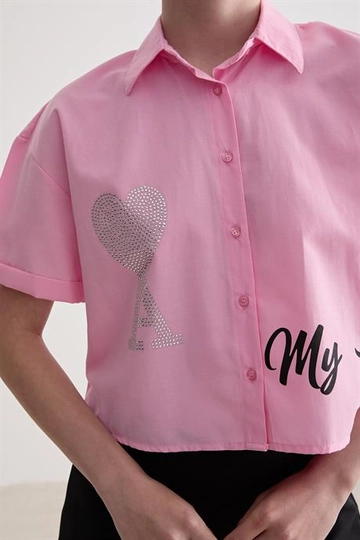Модел на дрехи на едро носи  Розова Къса Риза С Щампи И Каменни Детайли
, турски едро Риза на Levure