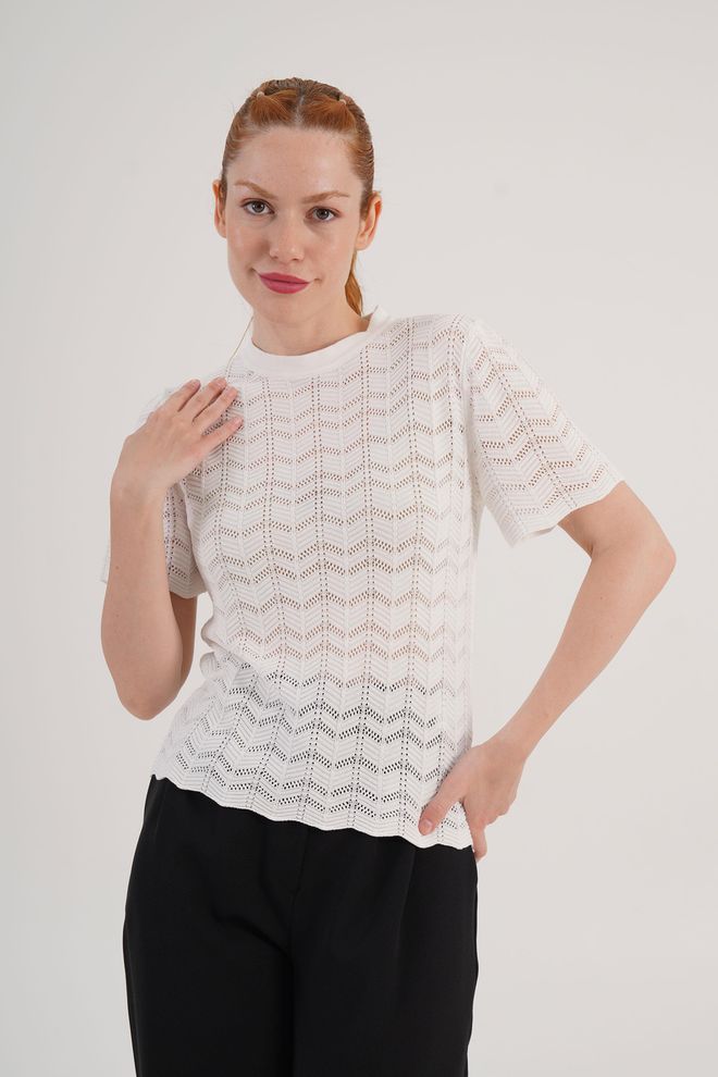 Lustrin White Casual Elegant Blouse With Crew Neck Wholesale Clothing Work