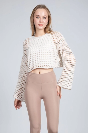 A wholesale clothing model wears  Crew Neck Openwork Crop Sweater
, Turkish wholesale Sweater of Maxi Modena