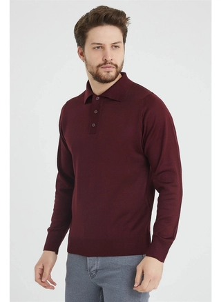 A model wears 37076 - Men Polo Sweater , wholesale undefined of Mode Roy to display at Lonca