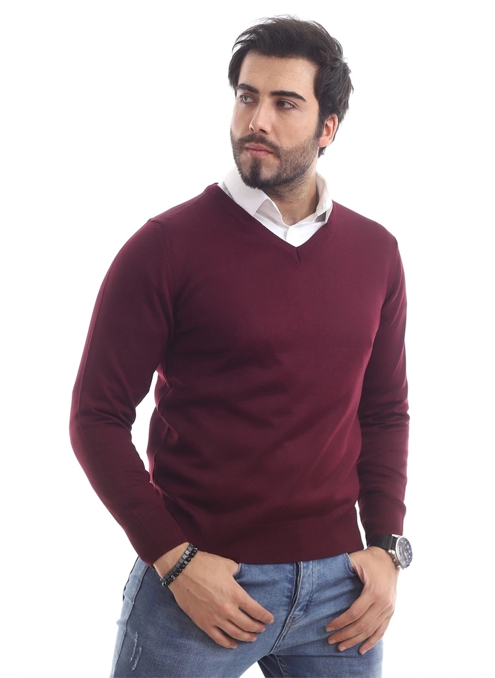 Bir model, Mode Roy toptan giyim markasının 37208 - Men V Neck Sweater toptan Kazak ürününü sergiliyor.