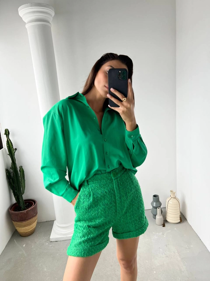 A wholesale clothing model wears 30229 - Shirt - Green, Turkish wholesale Shirt of Perry