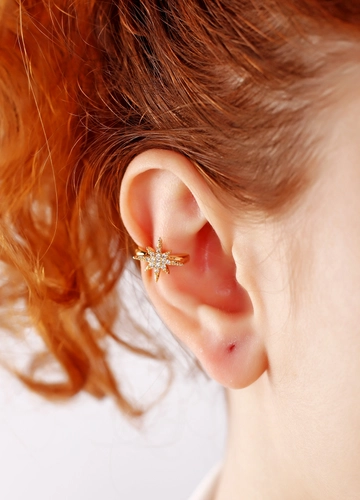 A wholesale clothing model wears  Starfish Earrings
, Turkish wholesale Earring of Playmax