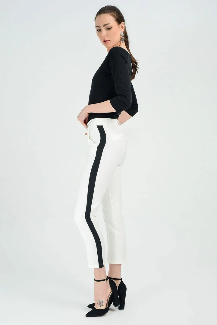 Een kledingmodel uit de groothandel draagt sns10637-sense-ecru-trousers-so-striped-ankle-pencil-trousers, Turkse groothandel Broek van SENSE