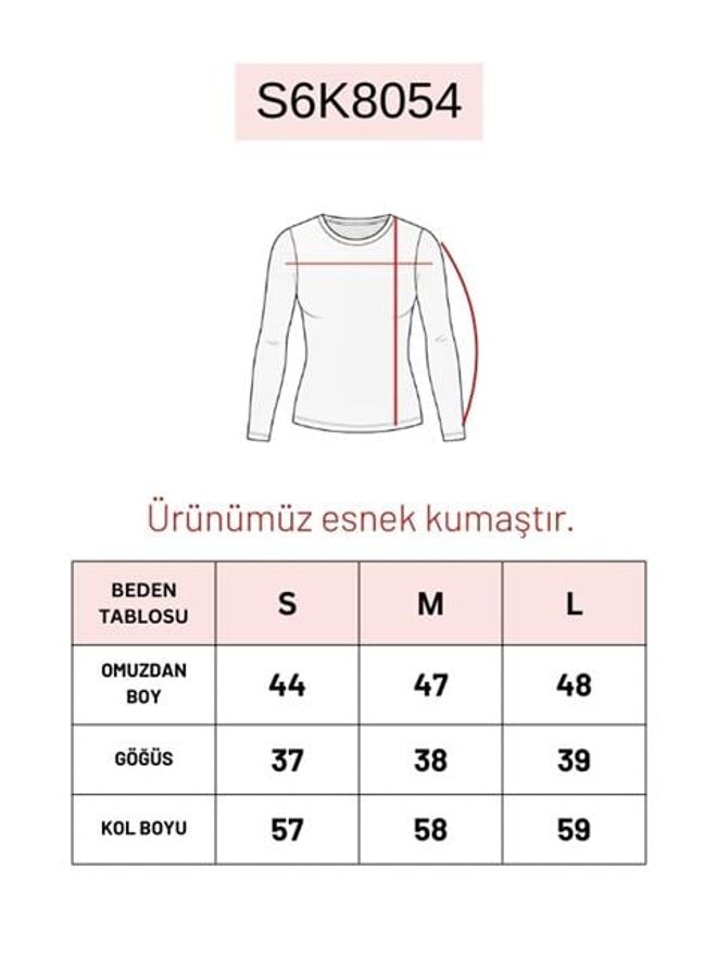 Sobe Istanbul بلوزة بني، قصّة ضيقة، رقبة طويلة، بأكمام طويلة ملابس بالجملة الخريف