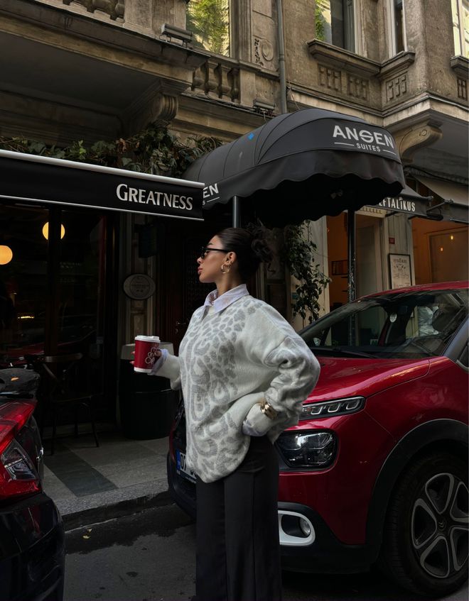 Sobe Istanbul Pulover Cu Detalii Rupte Cu Model Leopard Ecru Îmbrăcăminte cu ridicata Casual