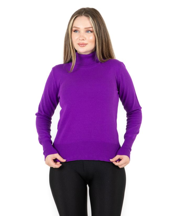 Sortie Collection Turtleneck Basic Sweater Purple Wholesale Clothing No Fabric