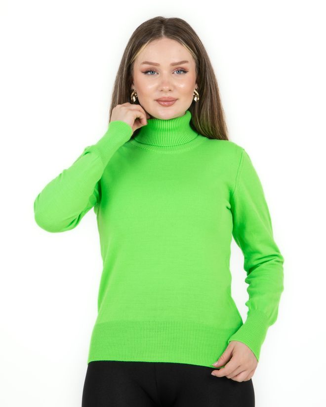 Sortie Collection Turtleneck Basic Sweater Green Wholesale Clothing Fall