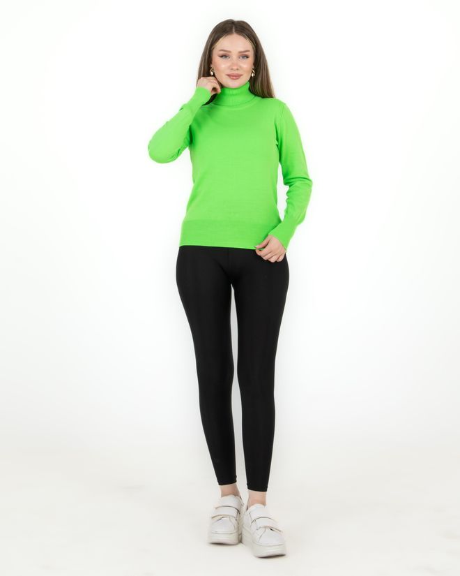 Sortie Collection Turtleneck Basic Sweater Green Wholesale Clothing Casual