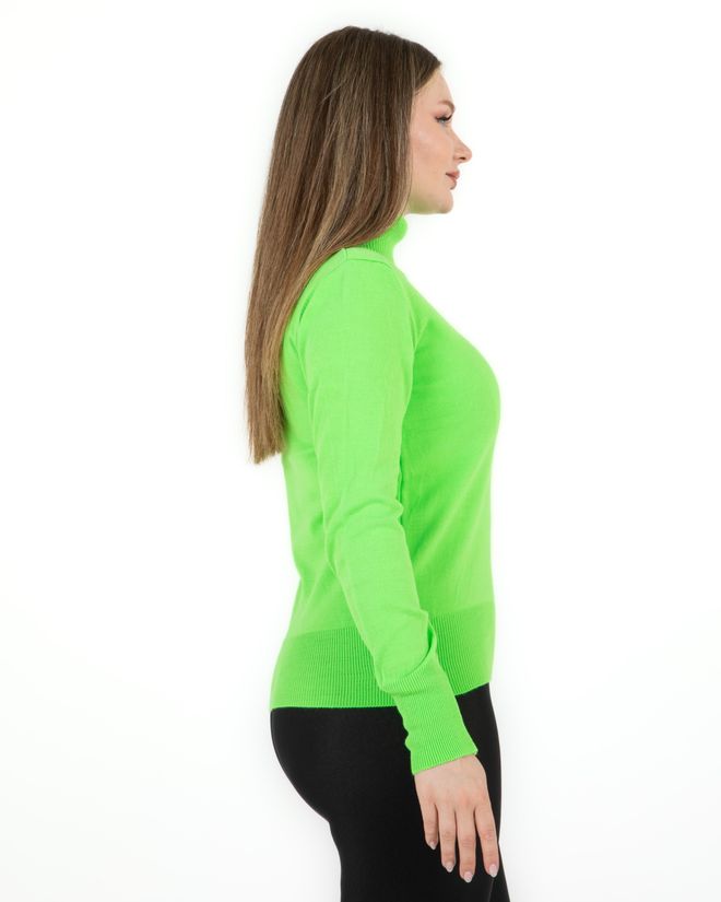 Sortie Collection Turtleneck Basic Sweater Green Wholesale Clothing Birthday