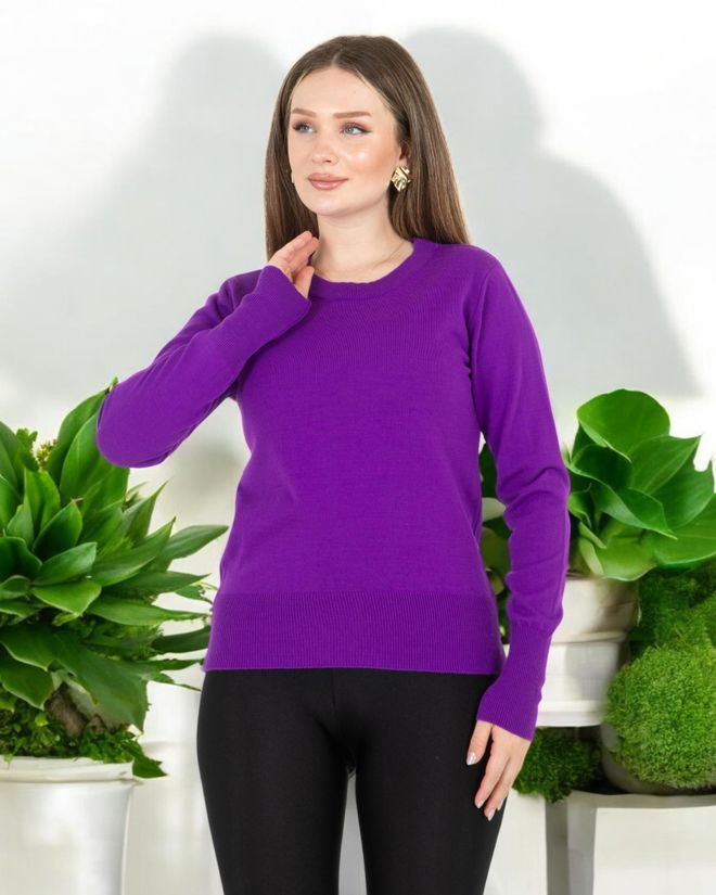 Sortie Collection Purple Slim Fit Casual Sport Sweater Wholesale Clothing Casual