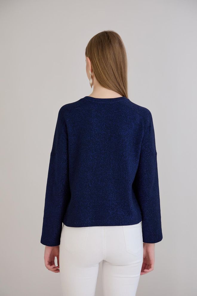 Sortie Collection Navy Blue Sweater With Round Neck And Regular Fit Wholesale Clothing Work