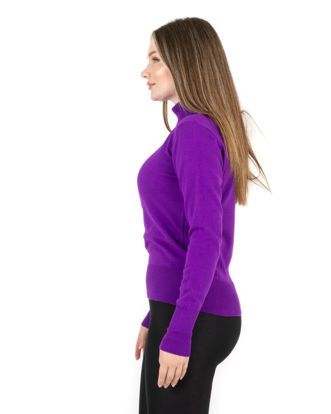 Sortie Collection Purple Sweater With Turtle Neck And Long Sleeves Wholesale Clothing 1