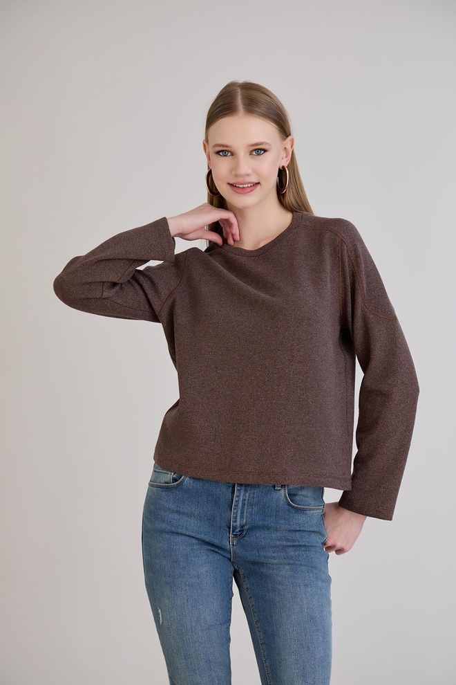 Sortie Collection Brown Sweater With Round Neck For Casual And Elegant Wear Wholesale Clothing Lounge